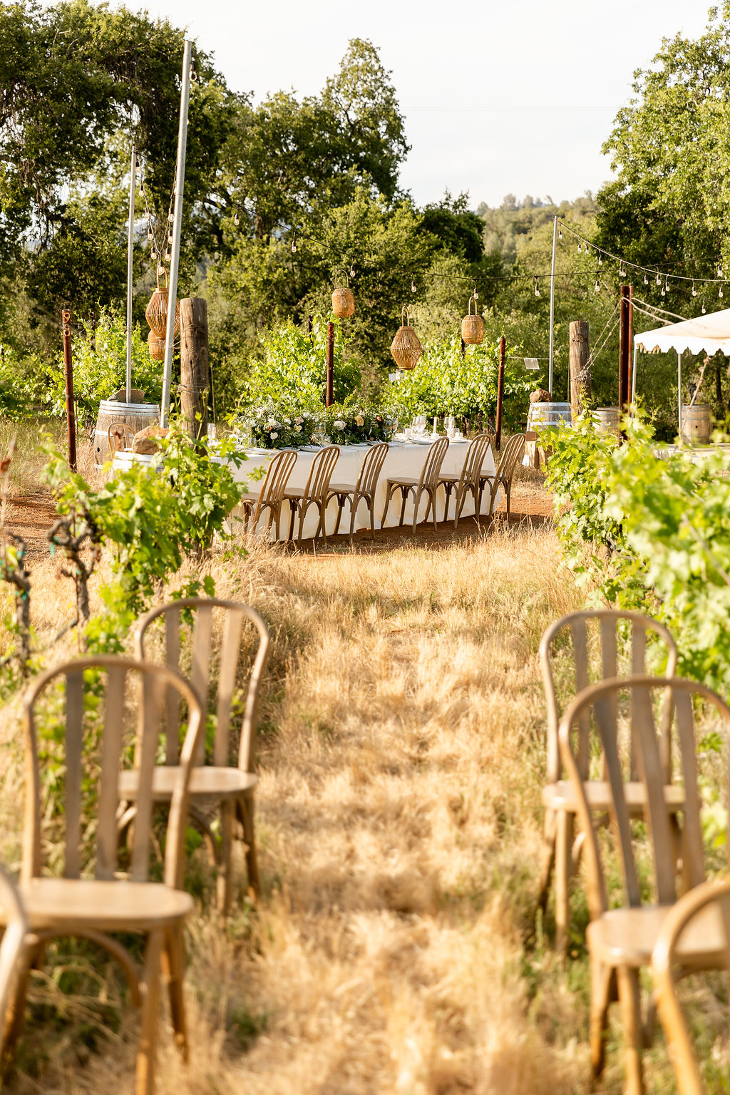 Tuscan wedding chairs
