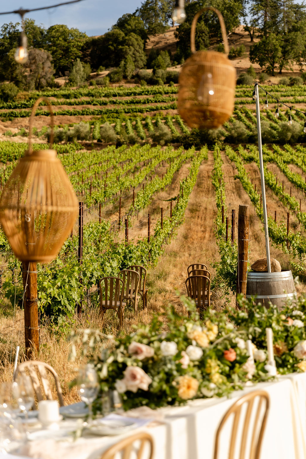 vineyard wedding Tuscay