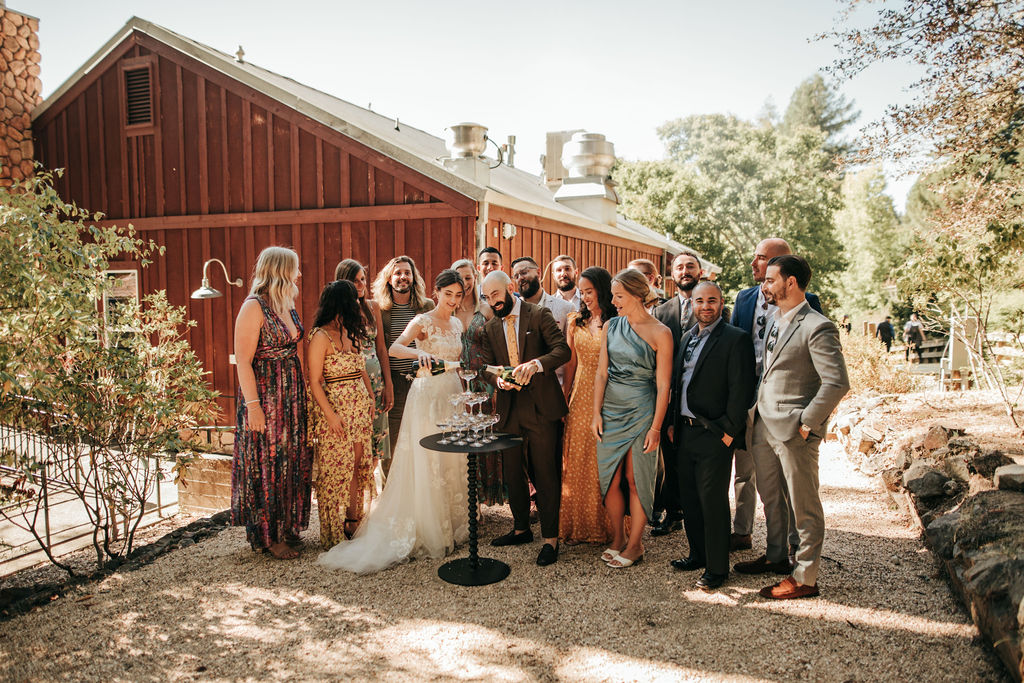 Bridal party cheers at Russian river wedding venue 