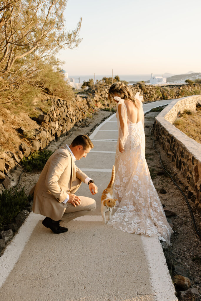 Destination Santorini wedding bride groom and cat