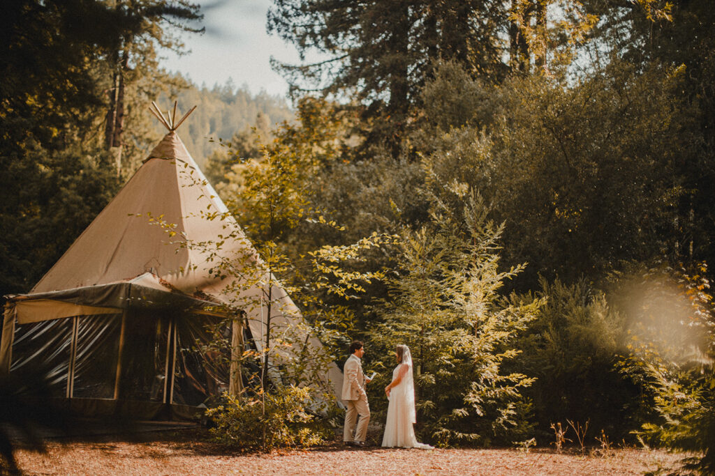 Couple sharing a quiet moment among the redwoods during their intimate Sonoma wedding.