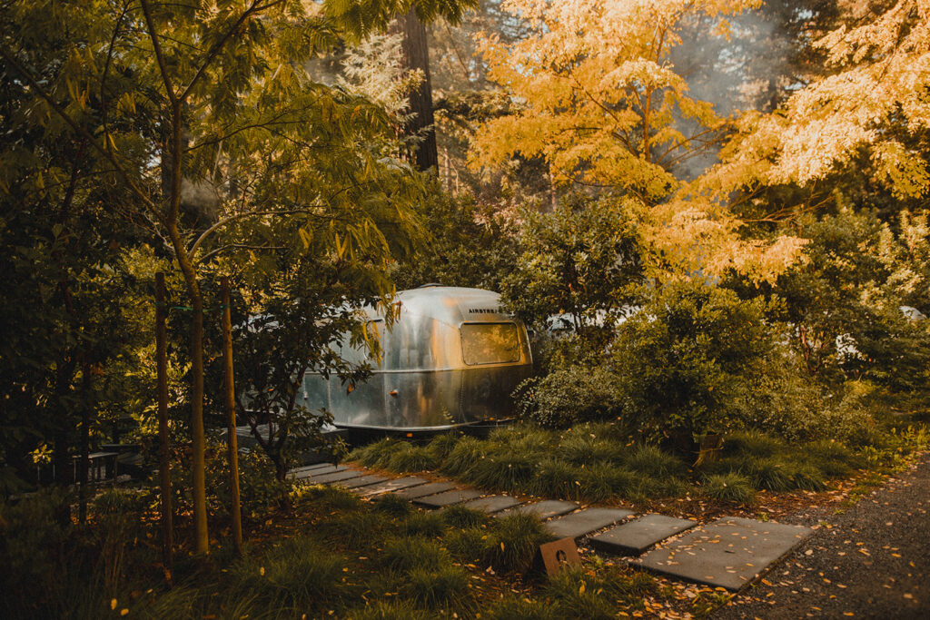 Airstream trailers at AutoCamp Sonoma surrounded by redwoods at sunset.